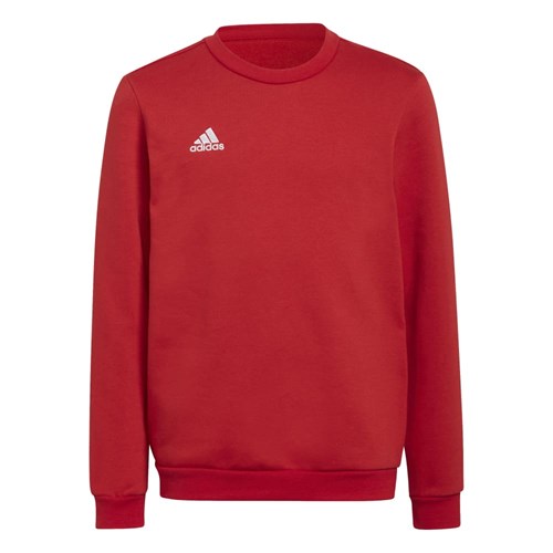Adidas sweatshirt junior