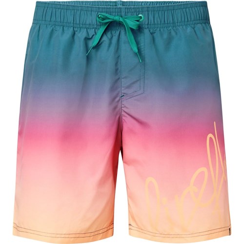 Firefly badeshorts herre