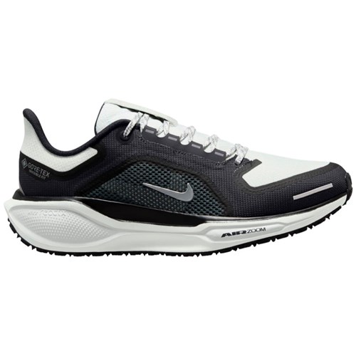 Nike Pegasus 41 dame